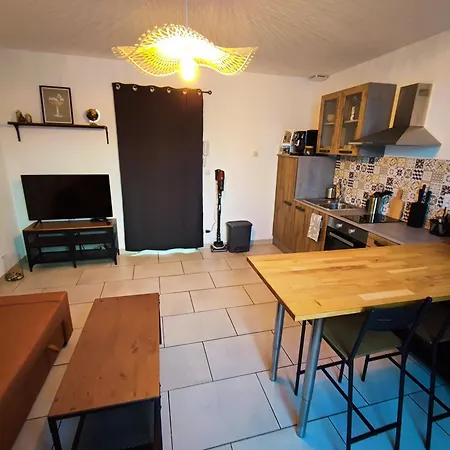 公寓 L'escapade D'henry Dunant *