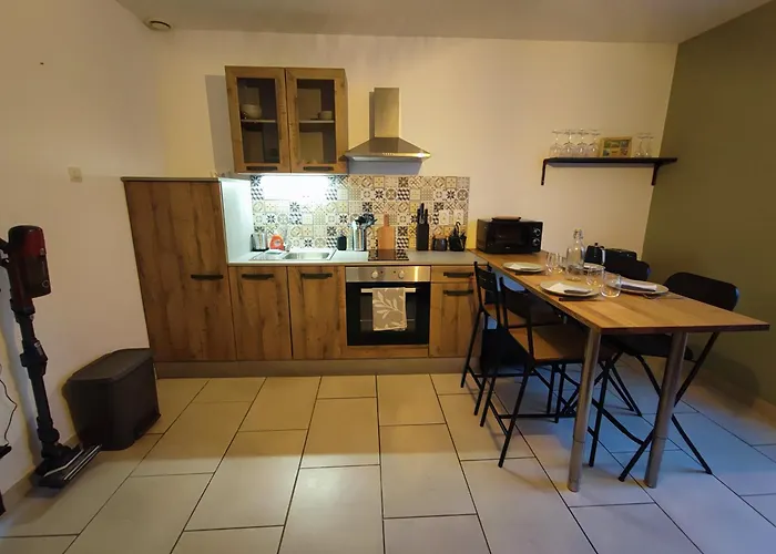 L'escapade D'henry Dunant Apartment