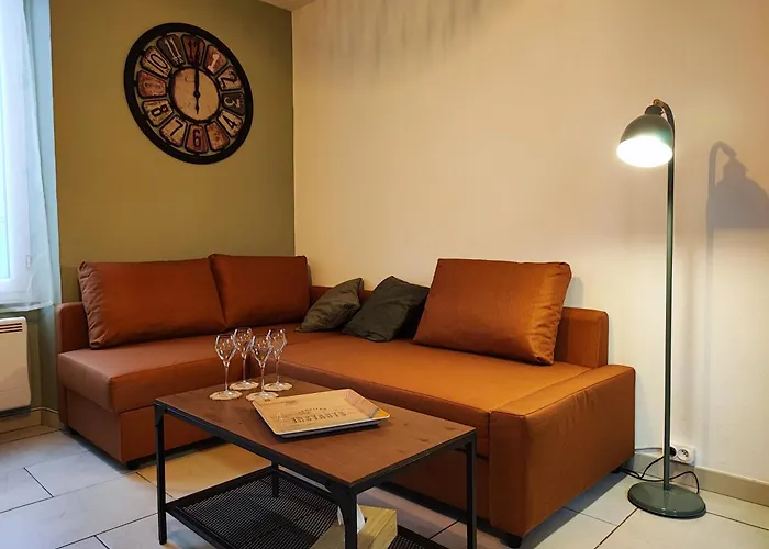 L'escapade D'henry Dunant Apartment